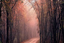 吉(jí)利申请入侵检测与防禦(yù)方(fāng)法、系统、设备及車(chē)辆专利，平衡(héng)入侵防禦(yù)的准确率(lǜ)和响应效率(lǜ)