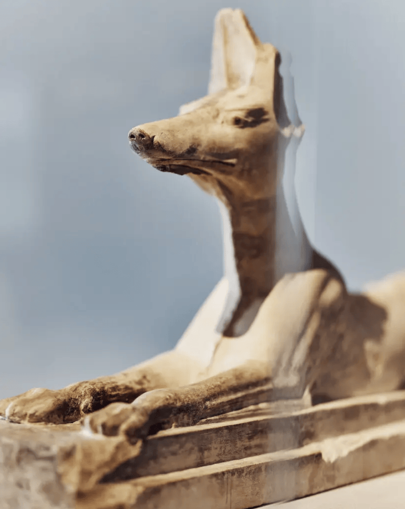 纽约大都会博物馆也开了古埃及大展