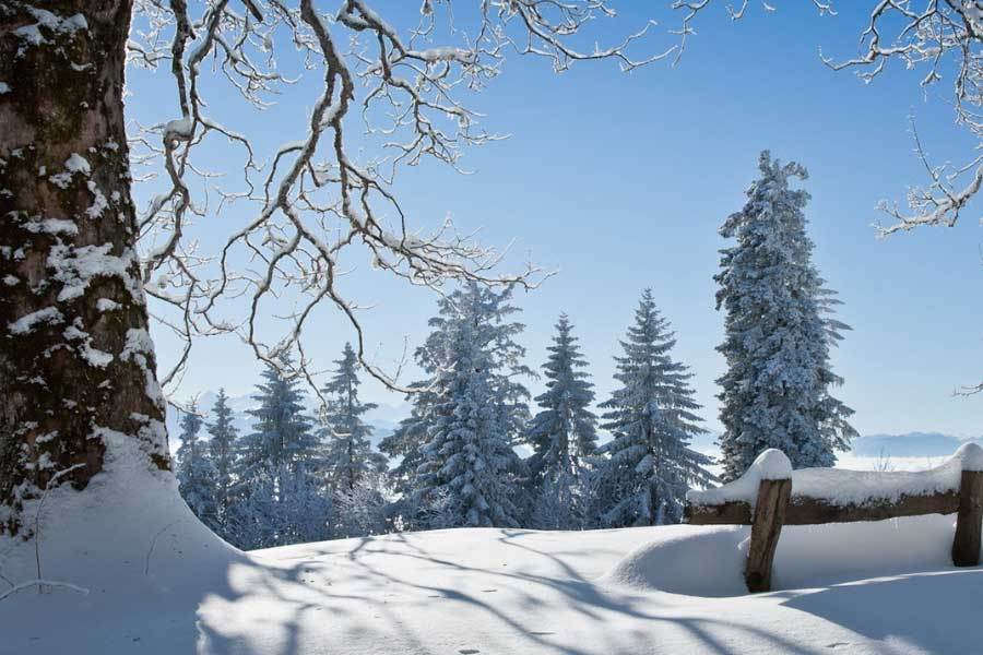 电竞比赛吸引全球年轻观众